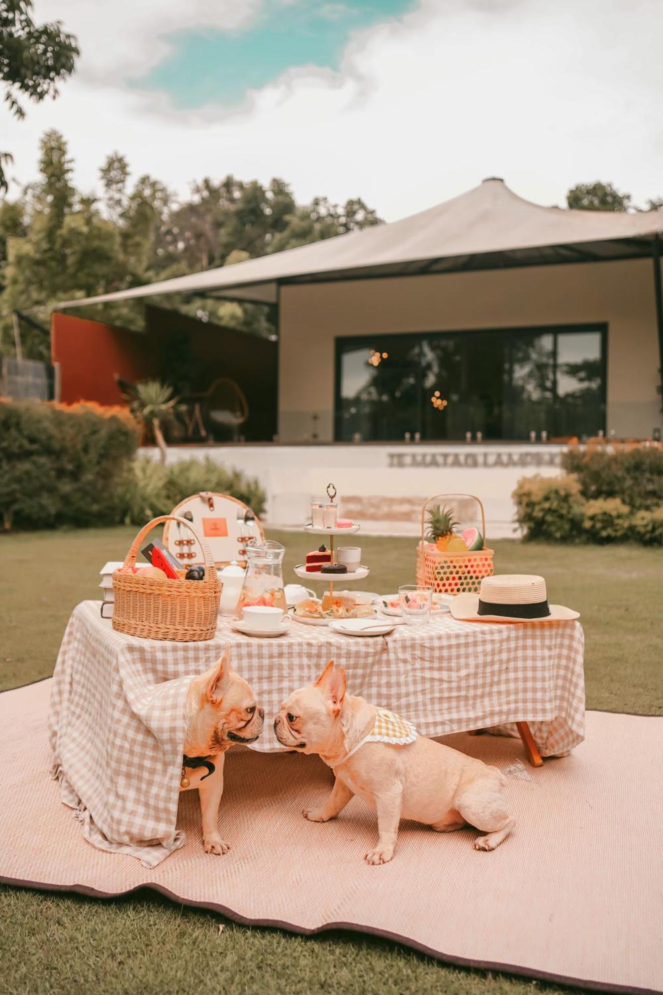 Te Mata Glamping Hotel Nong Nam Daeng Exterior photo